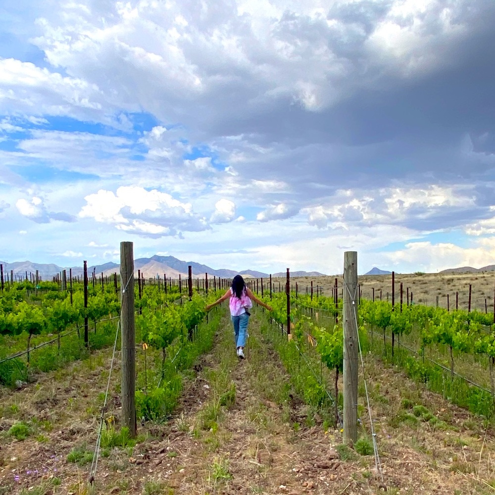 Meet your Posher, Andi